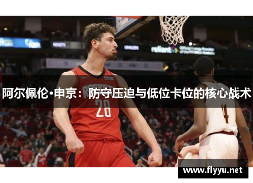 阿尔佩伦·申京：防守压迫与低位卡位的核心战术