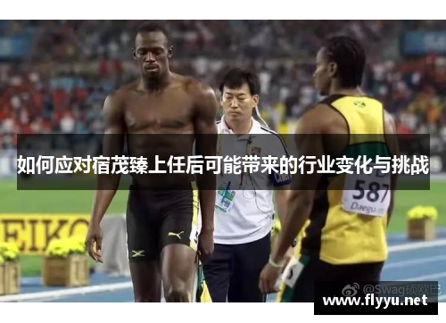 如何应对宿茂臻上任后可能带来的行业变化与挑战