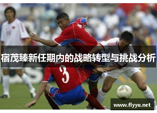 宿茂臻新任期内的战略转型与挑战分析