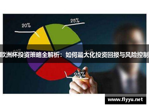 欧洲杯投资策略全解析：如何最大化投资回报与风险控制