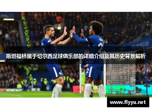 斯坦福桥属于切尔西足球俱乐部的详细介绍及其历史背景解析