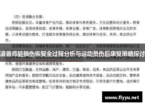 波普肾脏损伤恢复全过程分析与运动员伤后康复策略探讨