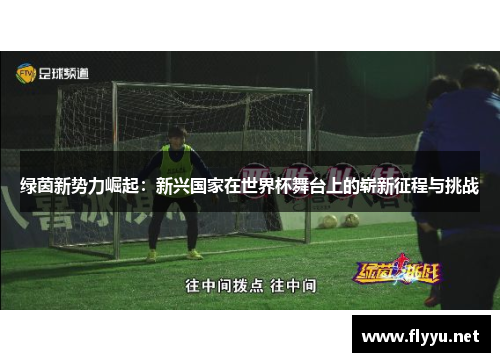 绿茵新势力崛起：新兴国家在世界杯舞台上的崭新征程与挑战