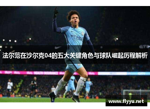 法尔范在沙尔克04的五大关键角色与球队崛起历程解析