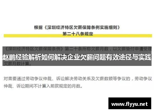 赵鹏经验解析如何解决企业欠薪问题有效途径与实践