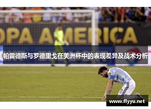 帕雷德斯与罗德里戈在美洲杯中的表现差异及战术分析