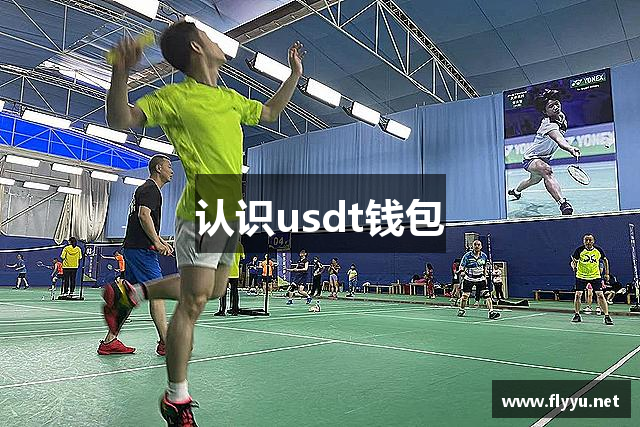 认识usdt钱包